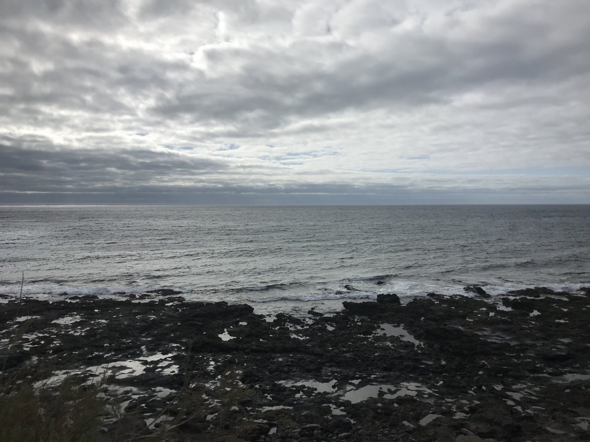 452698E3-19DC-46DF-8DAC-1932B228E310.jpeg