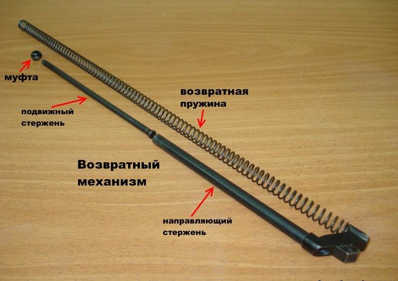 45663017.jpg