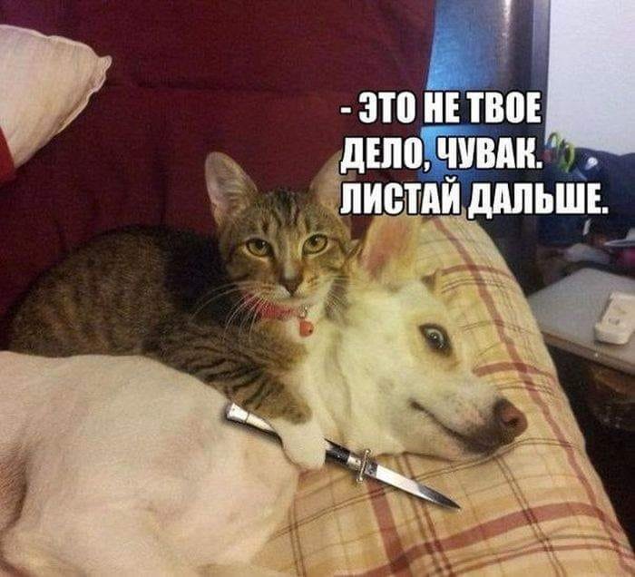46107037_10205292209020452_5631972284324380672_n.jpg.c1dc93fe2b69eb41970c048857516184.jpg