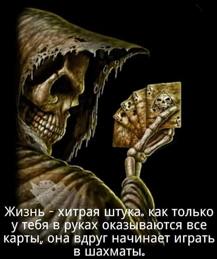 46483087_356993291539976_6106150542252179456_n.jpg