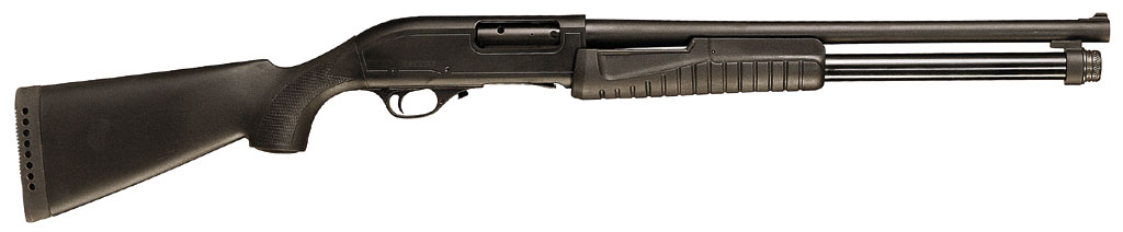 46519.jpg