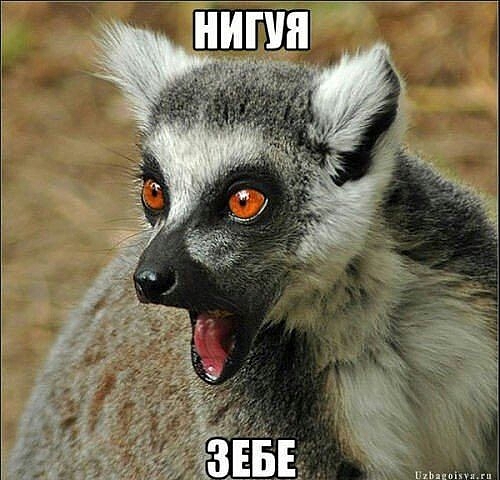 46bd07d83677b501cbdde16de5f68289_image.jpg