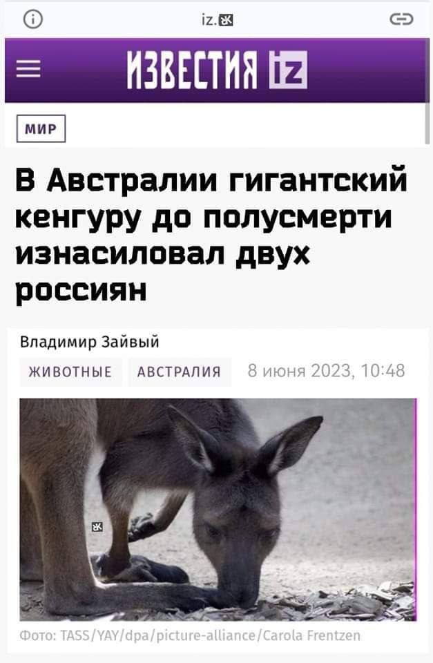 48205B5E-AA2E-4CCC-A3CA-5158641E88BF.jpeg