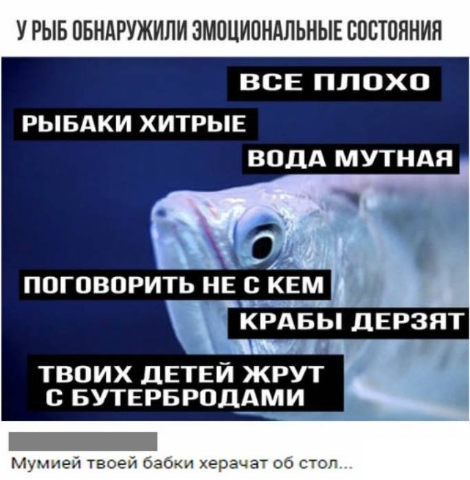 48364323_958770737648154_1587385509913559040_n.jpg