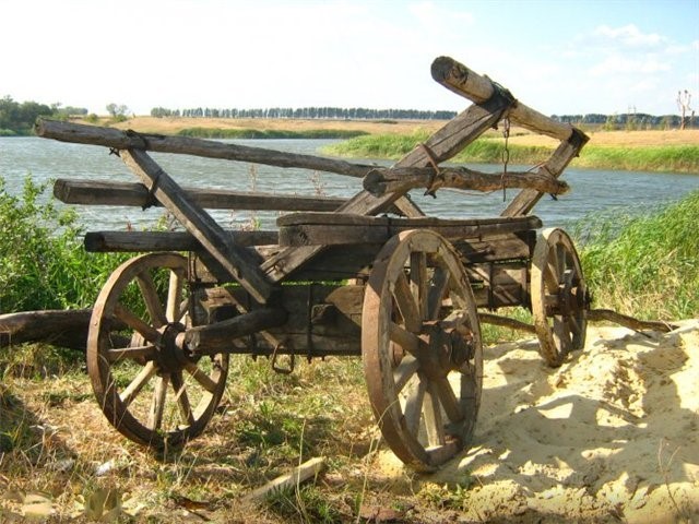 488d6910335d.jpg