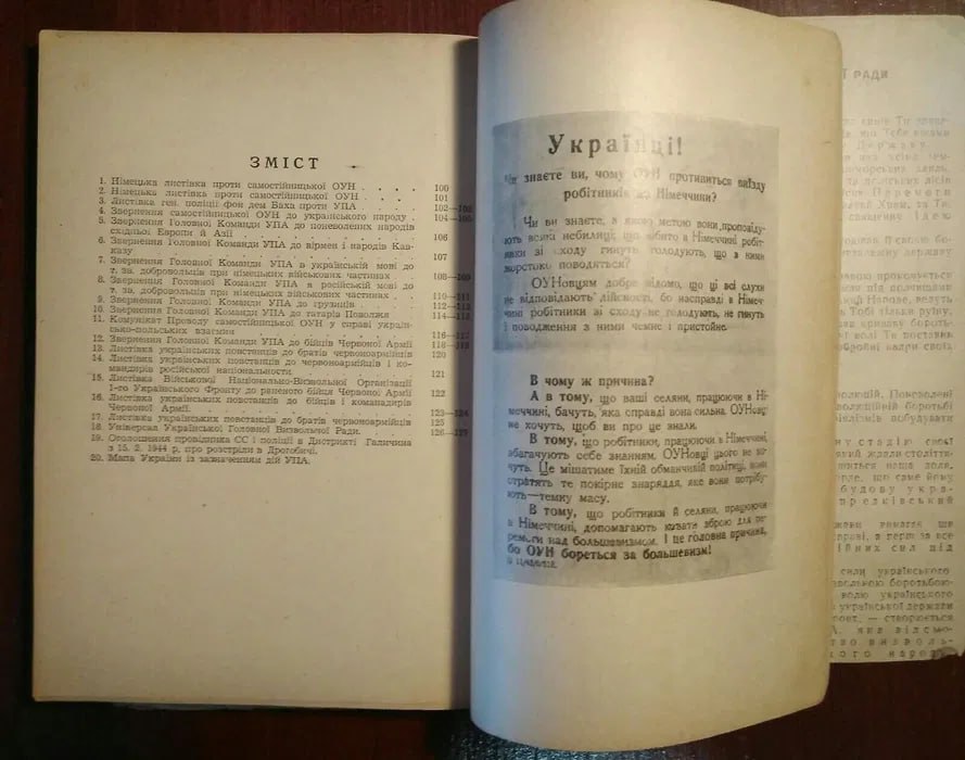 48ABFF4B-54AB-4F34-BD15-99D09DE03511.jpeg