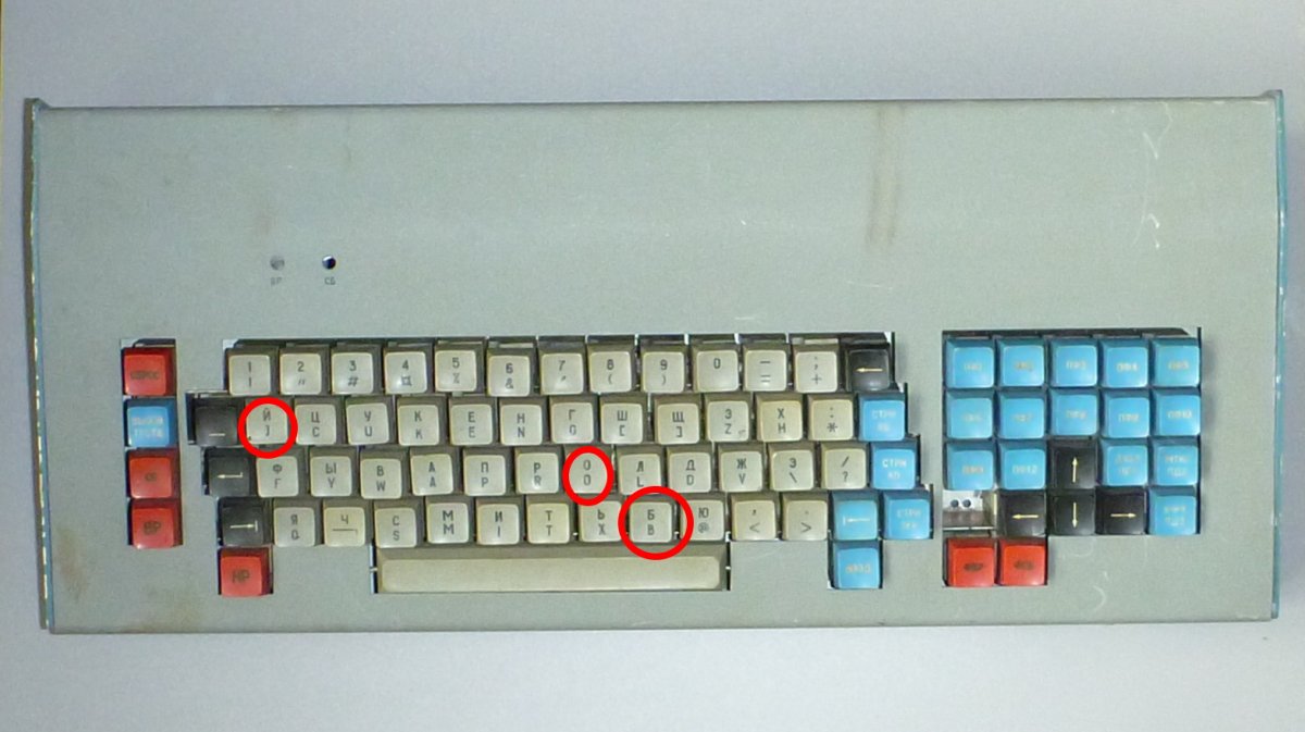 49213672.jpg