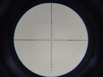 4950911.jpg