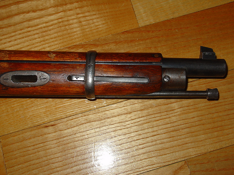 4951046.jpg