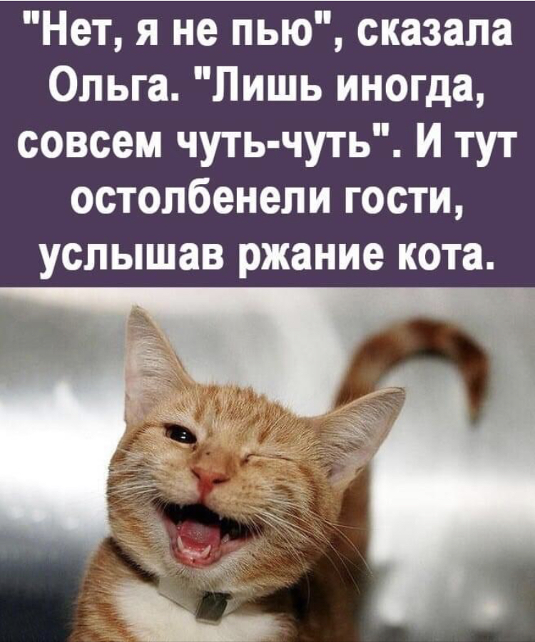 4D329CFF-9ED5-497D-8963-FC4BA7E576AE.jpeg