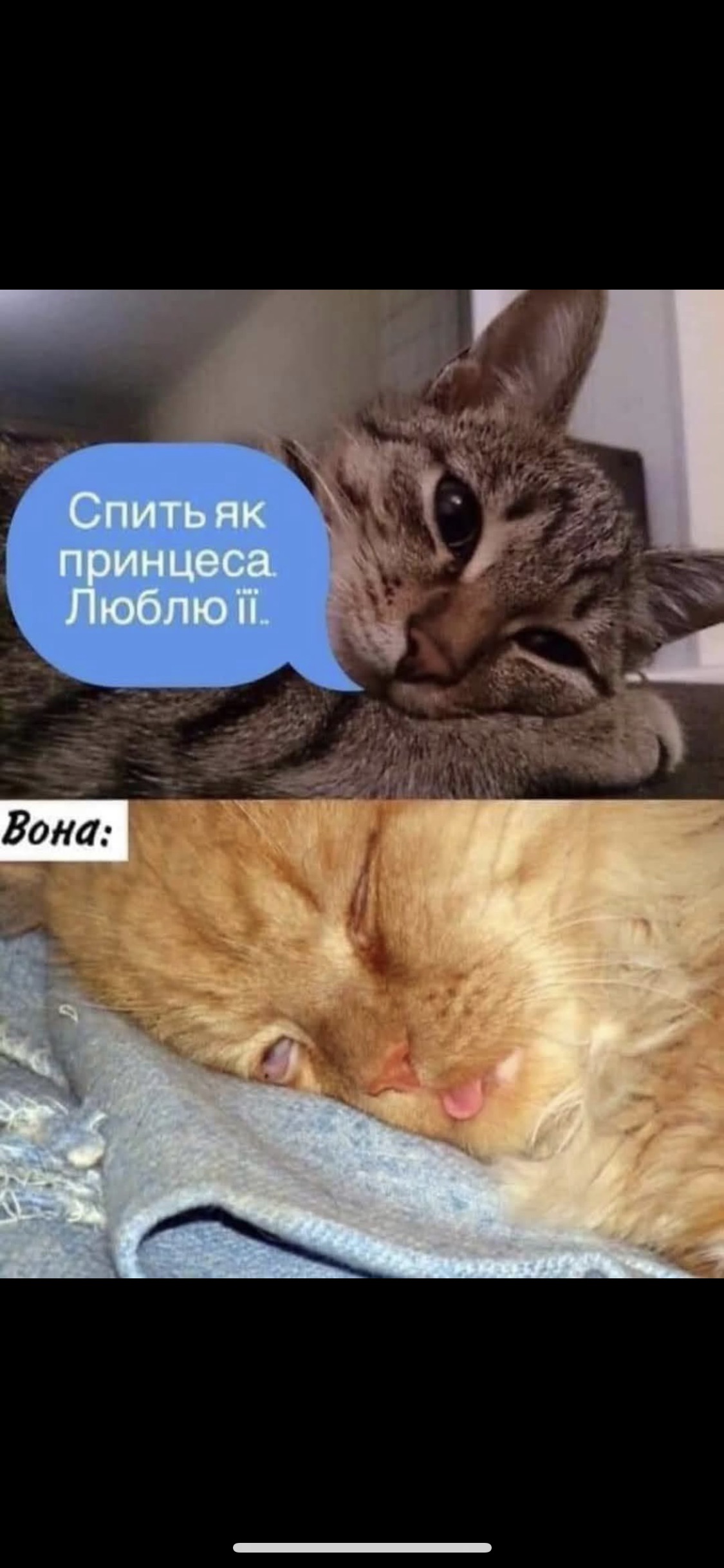 4E61C5DB-D25F-4194-BF3F-4A7F4870F80D.jpeg