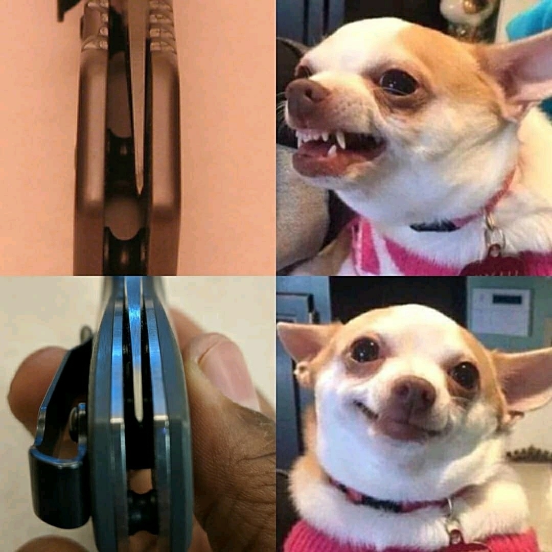 4evgUjB8tXM.jpg