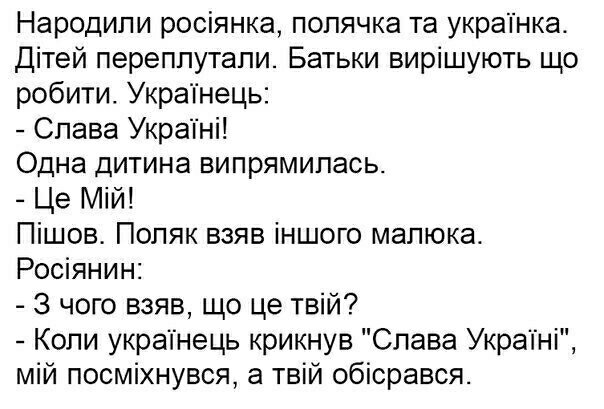 4f1dd91e7fb9.jpg