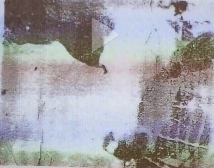 4FC19B92-E78F-4B87-91C3-2ADB4256EEB7.jpeg