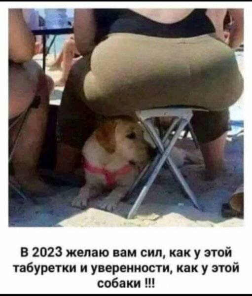 4FC344D0-495F-4FD8-A759-8D31463BFCD0.jpeg