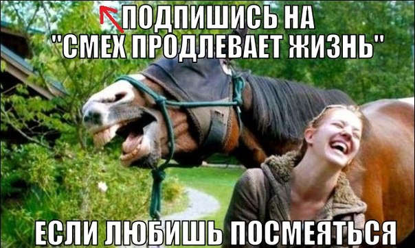 4KKrcbZIKm8.jpg