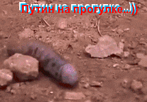 4VpKEJT3dzcl.gif