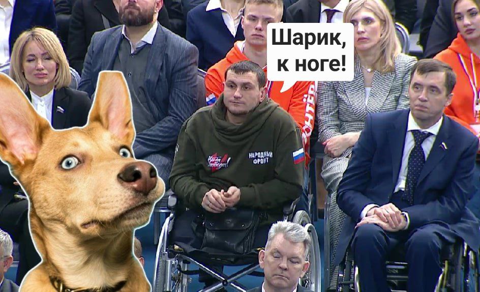 5005F128-9D64-4F61-9ECE-3F90DA4B0261.jpeg