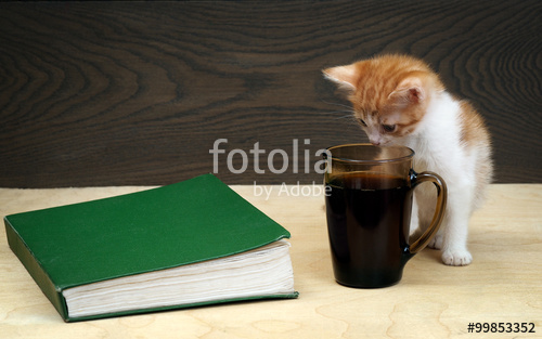 500_F_99853352_uULRopBI0U4IcyJnWkn4EjaOAFfQZ6RK.jpg