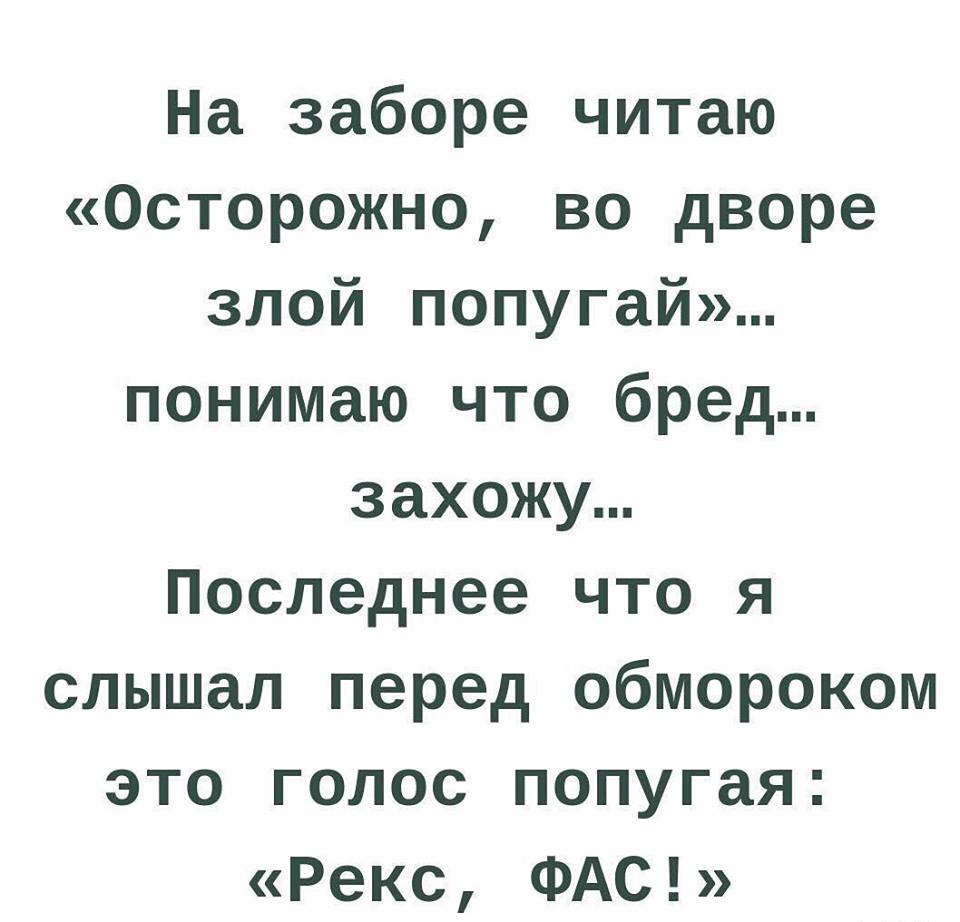 На заборе читаю: «осторожно, во дворе злой попугай!»…