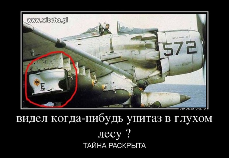 507008_videl-kogda-nibud-unitaz-v-gluhom-lesu-_resize_keep_740_None.jpeg