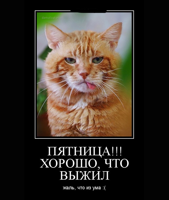 529f9b4c3f517866cbb68a084540a84b_1.jpg