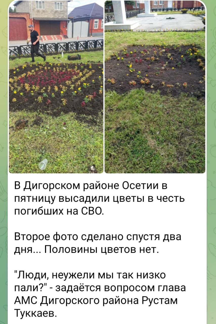 53577AC2-F9C7-4E11-A472-0D49E823A40D.jpeg