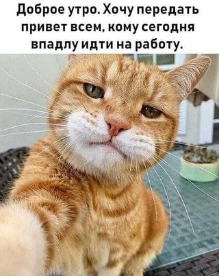53f56e793dd72f7a89aea5a1cdaed278.jpg