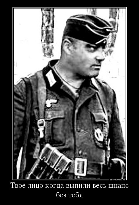 54411_tvoe-litso-kogda-vyipili-ves-shnaps-bez-tebya_demotivators_to.jpg
