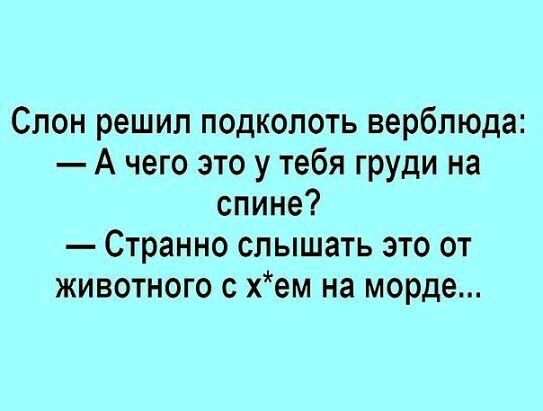 548d5b05e5229447ad73248e8aec4a15.jpg