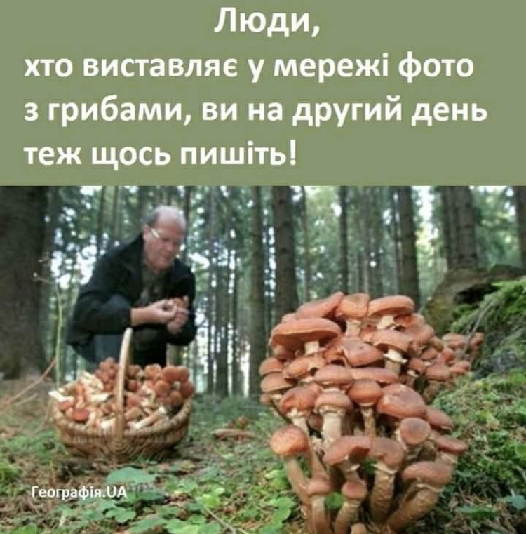 54CA09A7-3A35-4BCA-AD41-0639FB10D7DC.jpeg