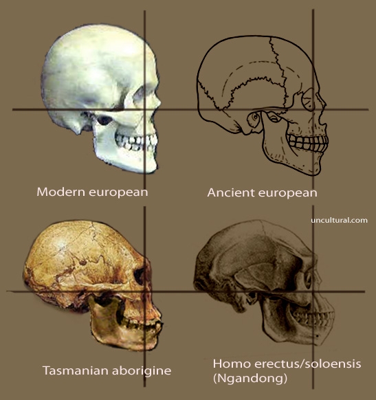 551d1f6e0c0de6a14f188ba7d6b17f8c.jpg