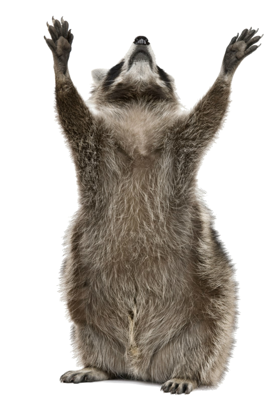 56c9a96e43f5715303bdd6c6.png