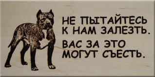 57.jpg
