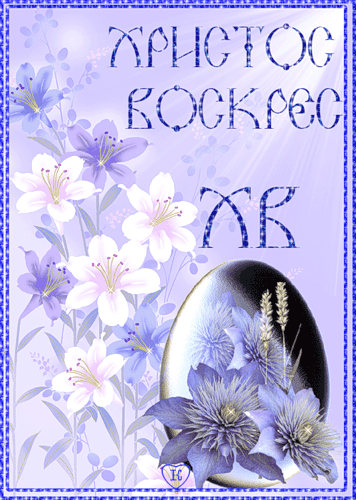 572929E0-2EA2-4B84-A1BE-F2BD4F71AA21.gif