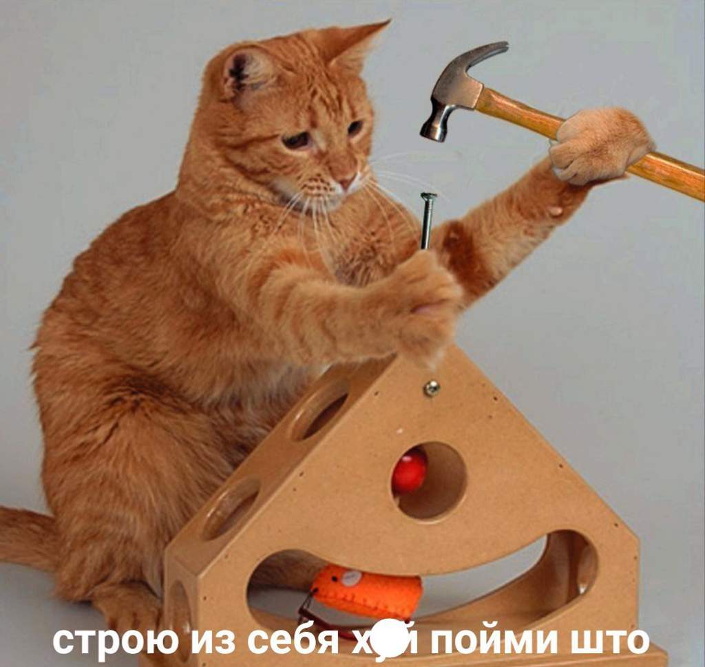 57e9b67c635529f9e7e0cf2faee962d8700dfc53r1-1080-1023v2_hq.jpg