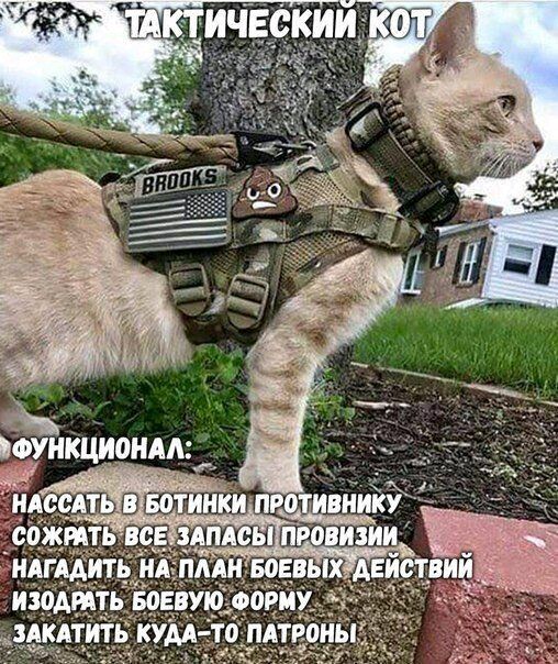 582dd116d9a15c75fe8b8bb6848d8ca2.jpg