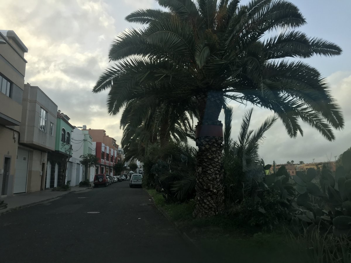 58DF75A8-69AD-40C9-8E89-FC511373277B.jpeg