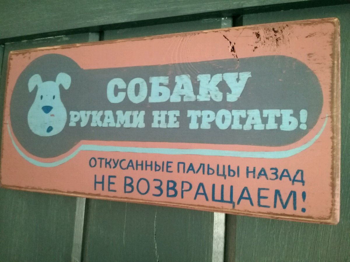 59.jpg