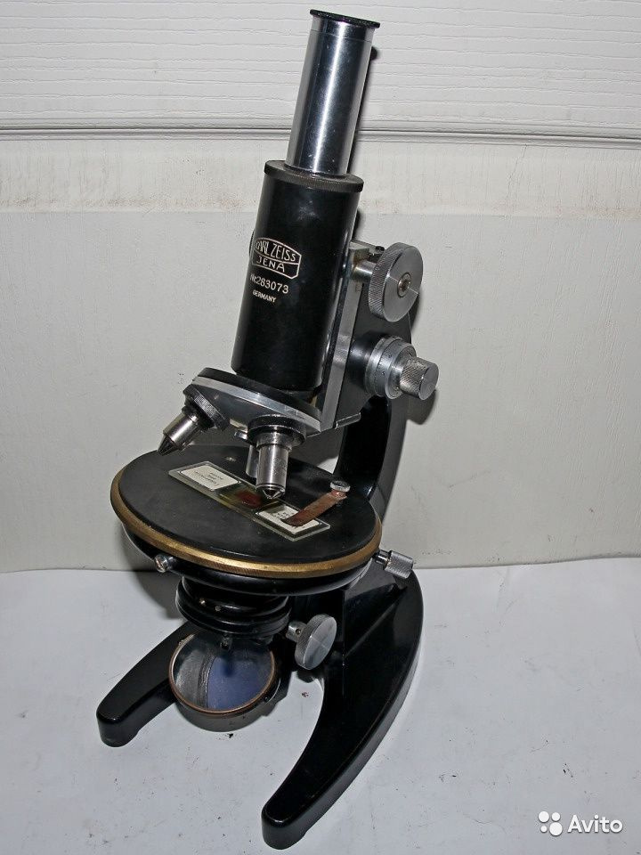 5980683932.jpg