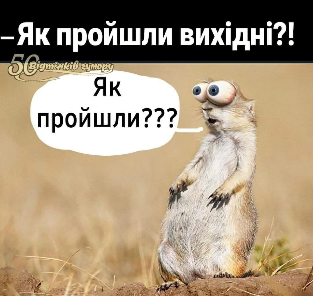 5ED7CD12-8AA3-41FF-BF52-646F850DB1F9.jpeg