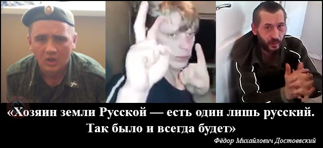 5OeQCkVo9N4.jpg