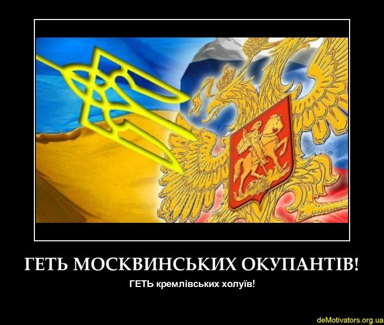 5wwC8m_qO8M.jpg