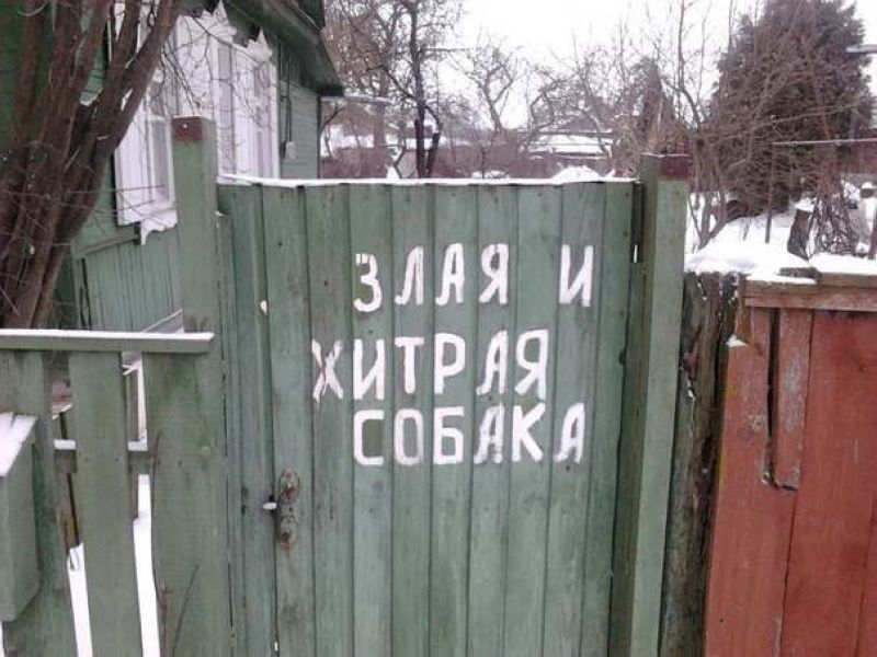 60.jpg