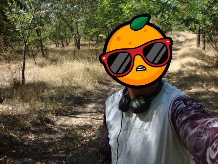 6152_1442160910.jpeg