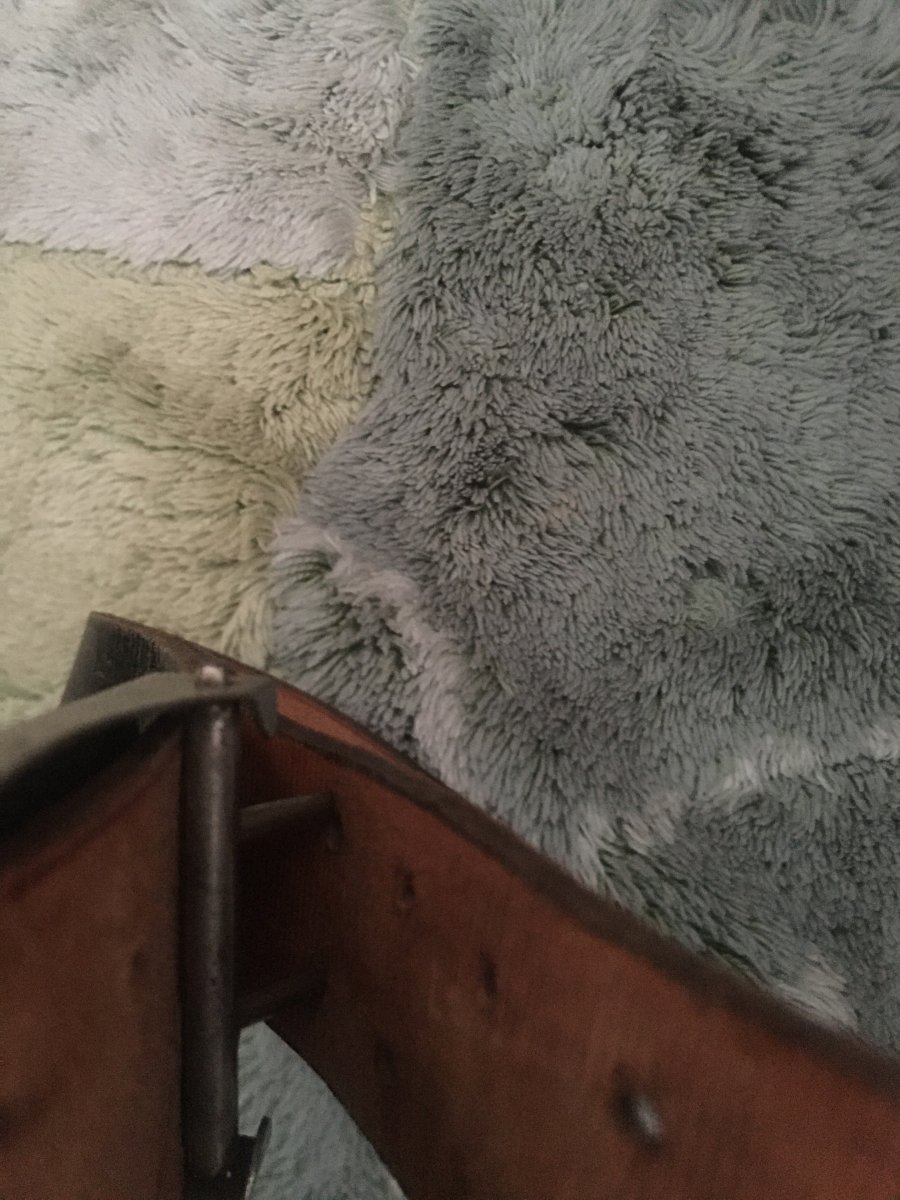61C50926-F0F5-4133-BFC9-18EBA952BF77.jpeg