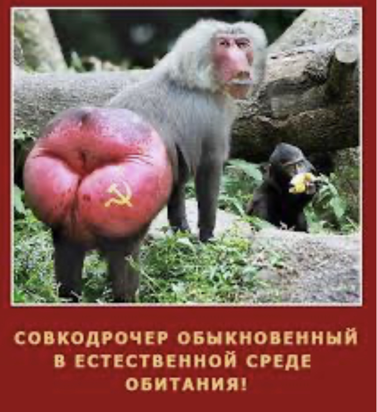 62FC1458-3540-4F73-9AD5-4C639CD7F1ED.jpeg