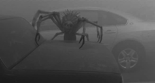630fcf2276d2779d6a56a8d39df15f89.gif
