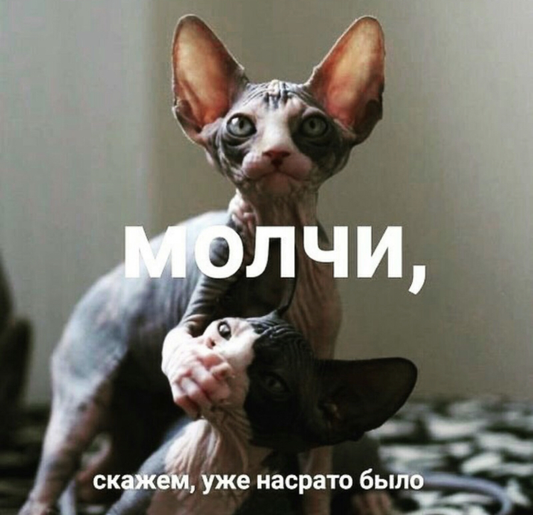 63A0D408-62DE-4667-A126-812A79A3CF8E.jpeg