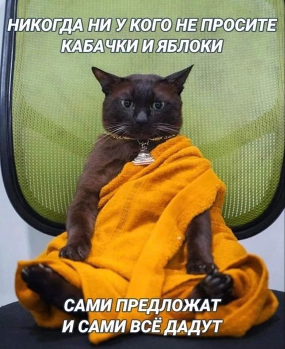 656f79e3159b6e66c49c1b6e97e06c7c.jpg